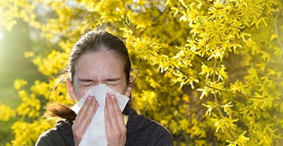 Allergy Management and Your Eyes 65677d8121c68.jpeg